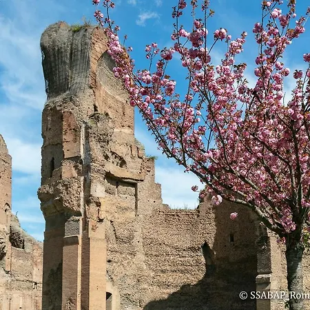 Le Stanze Di Raffaello Bed and breakfast Roma